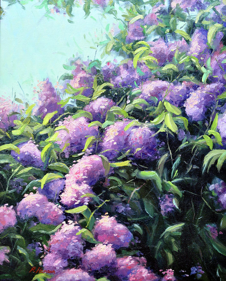 Sunlit Lilacs Painting by Rick Hansen