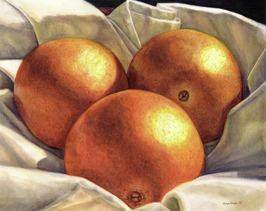 Sunlit Oranges Drawing by Shana Rowe Jackson
