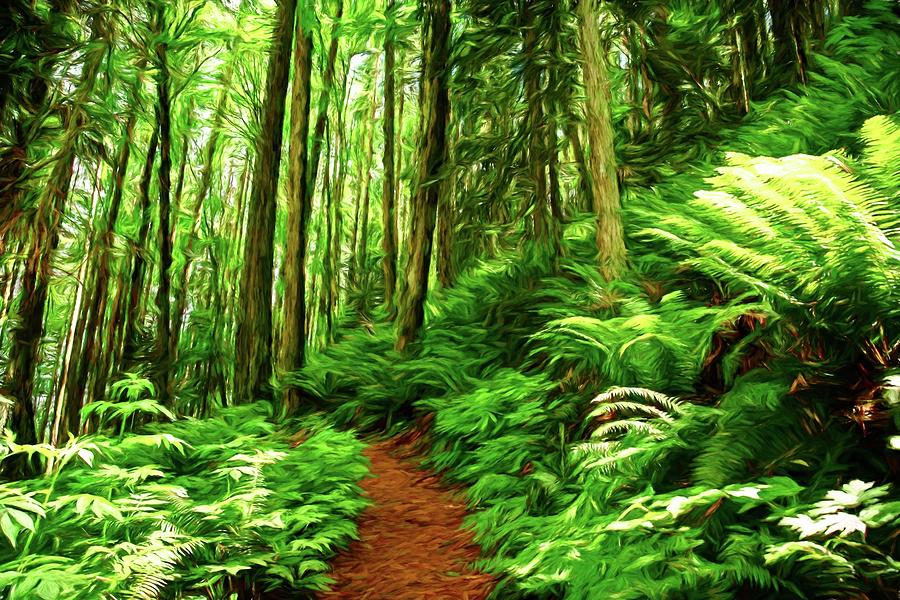 Forest Trail Digital Art by Rita Martin - Fine Art America