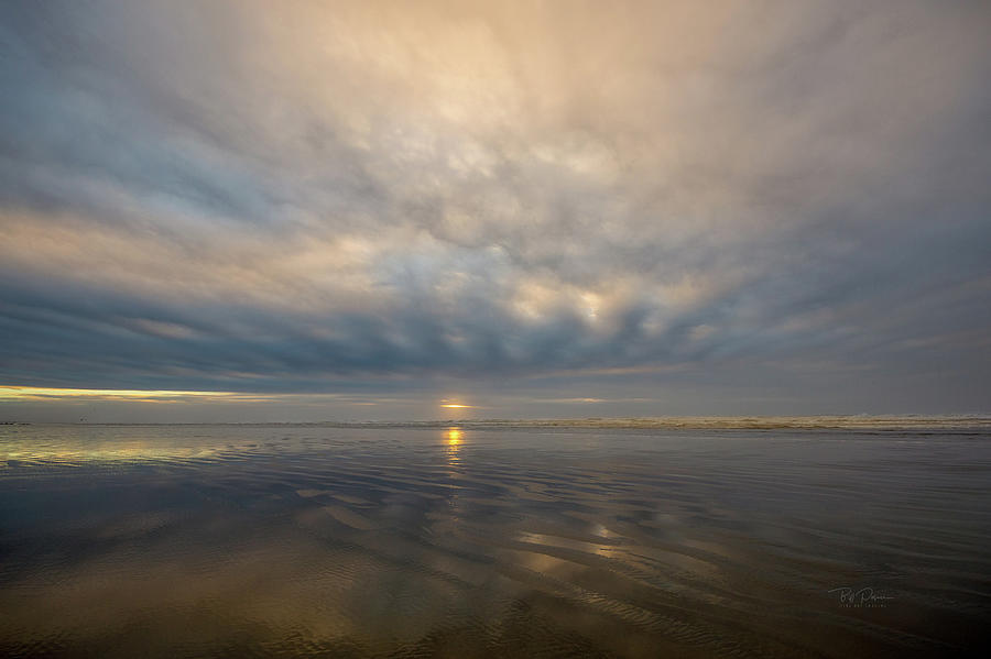Sunlit Shore Photograph by Bill Posner