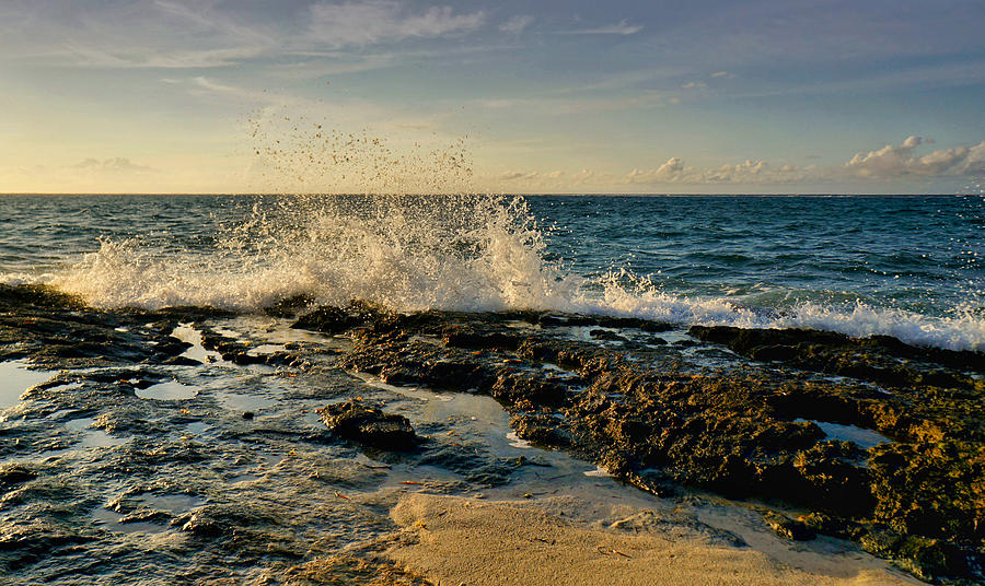 Sunlit Splashes  Photograph by Montez Kerr
