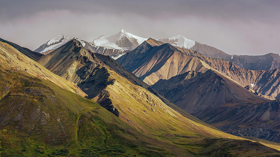 Sunlit Slope Alaska Photograph by Nicholas McCabe