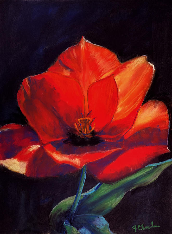 Sunlit Tulip Painting by Jan Chesler