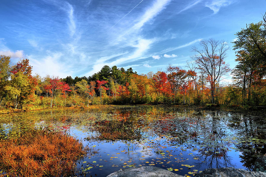 Sunna autumn day 8 Photograph by Lilia D Sunna autumn day 8 Photograph by Lilia D