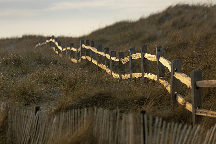 Sunny Beach Fence Photograph by Denise Kopko