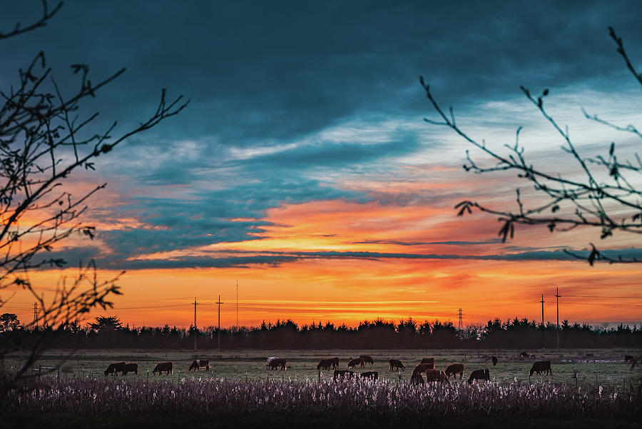 Sunny Brae Sunset Photograph by Trevor McBroom