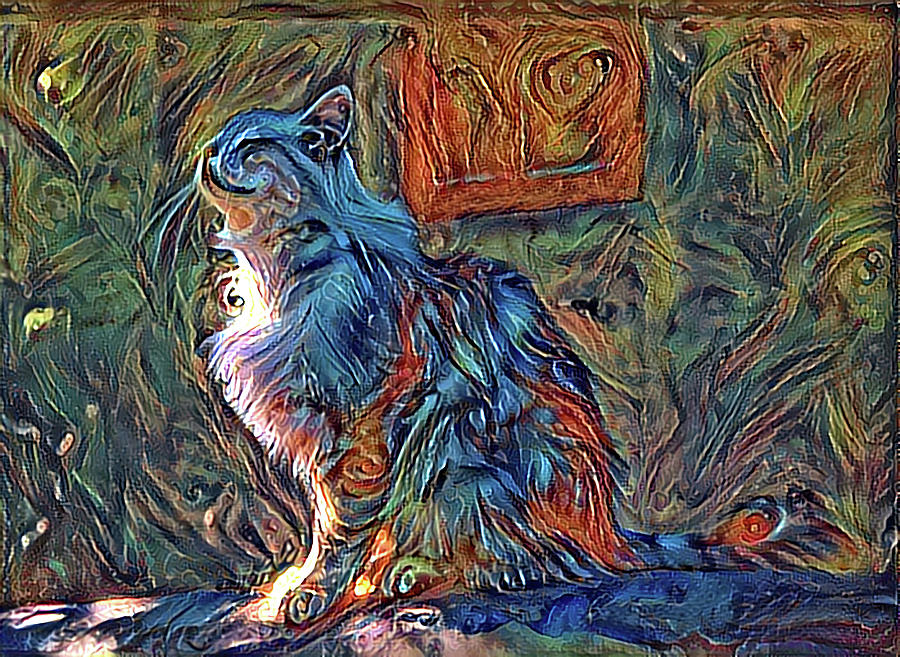 Sunny Cat 11422 Digital Art by Cathy Anderson
