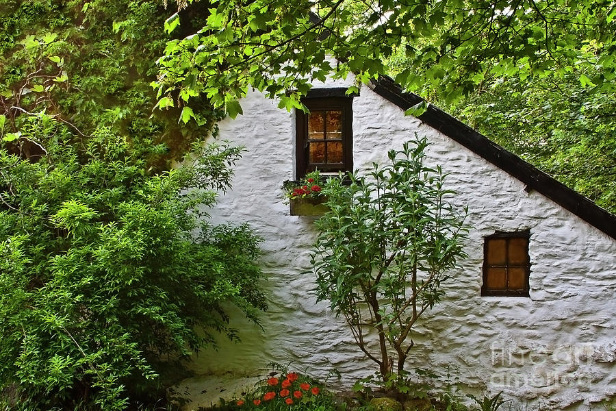 Sunny Cottage - Home Sweet Home Photograph by Tatiana Bogracheva