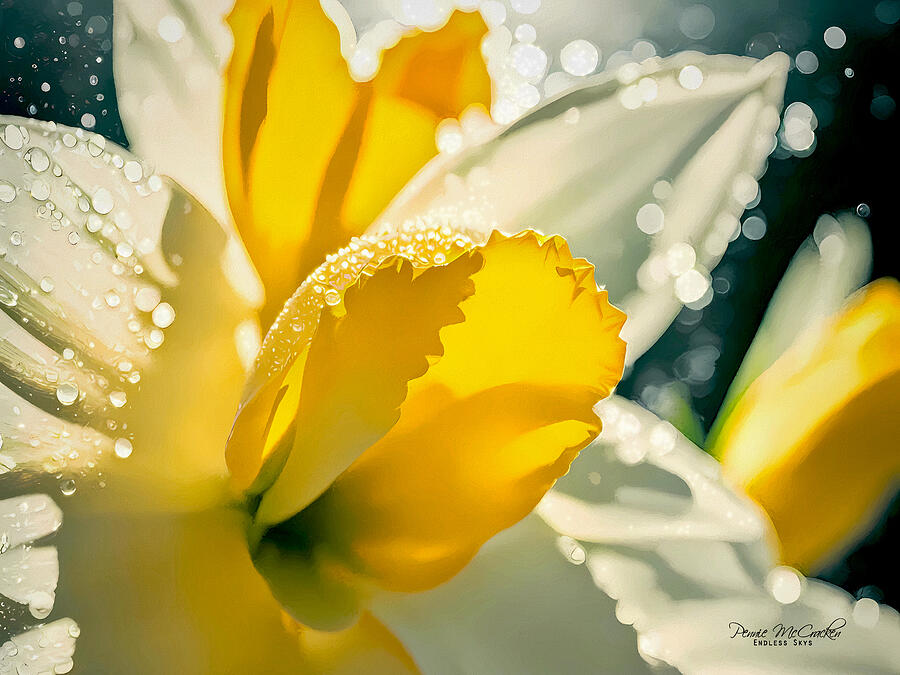 Sunny Daffodil Mixed Media by Pennie McCracken