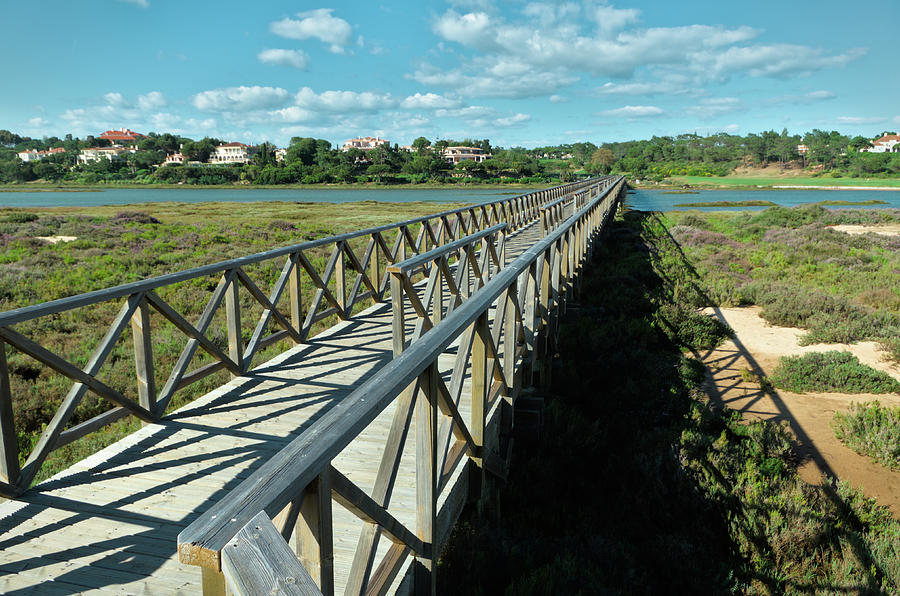 Sunny day and wooden bridge of Quinta do Lago Photograph by Angelo DeVal