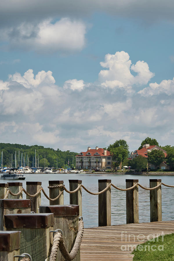 Sunny Day on Lake Norman Photograph by Amy Dundon
