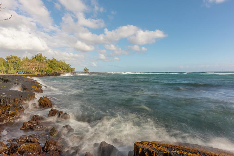 Sunny Day Photograph by SRSPhoto Hawaii