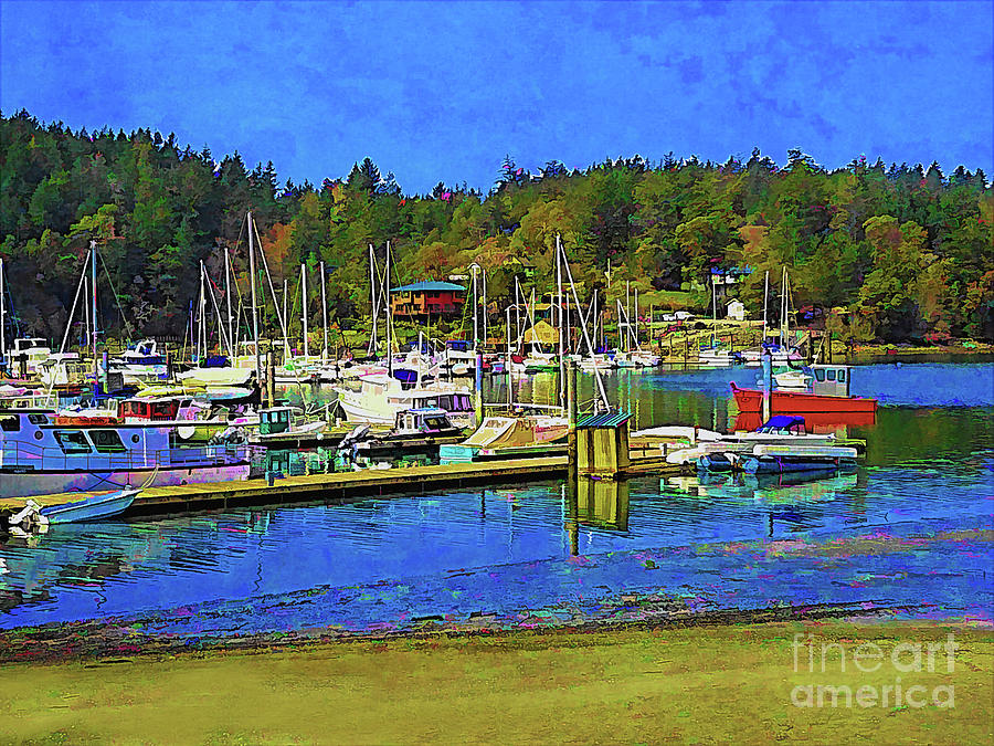 Sunny Deer Harbor on Orcas Island  Photograph by Sea Change Vibes