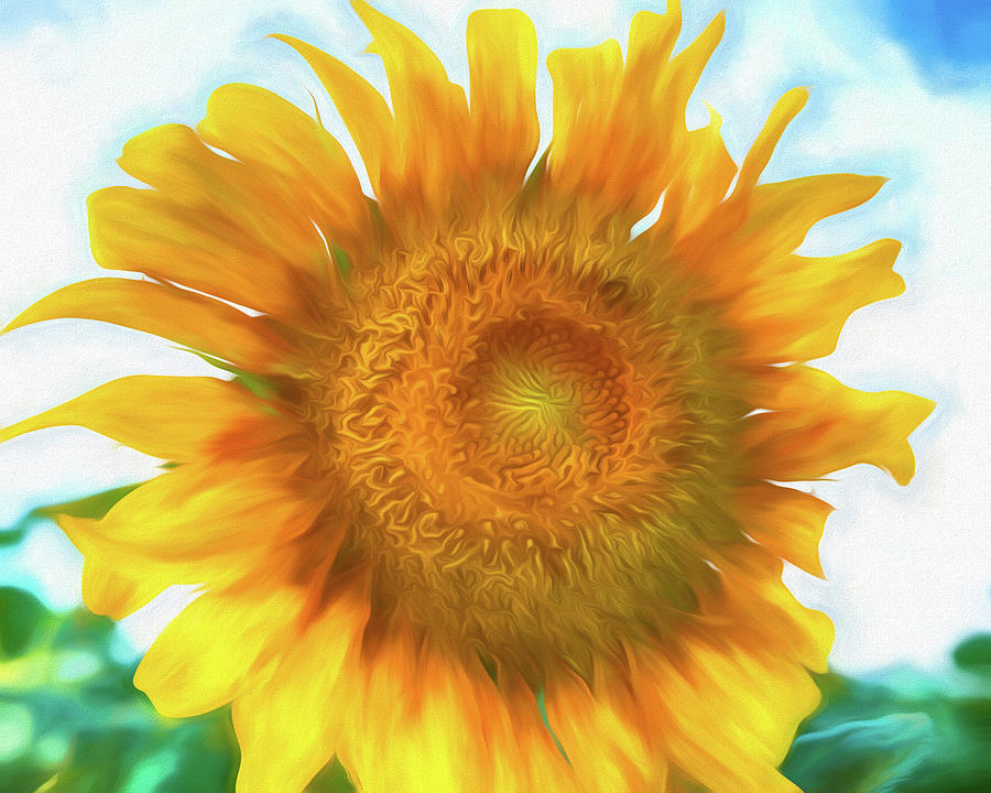 Sunny Disposition -- Sunflower Impression #2 Digital Art