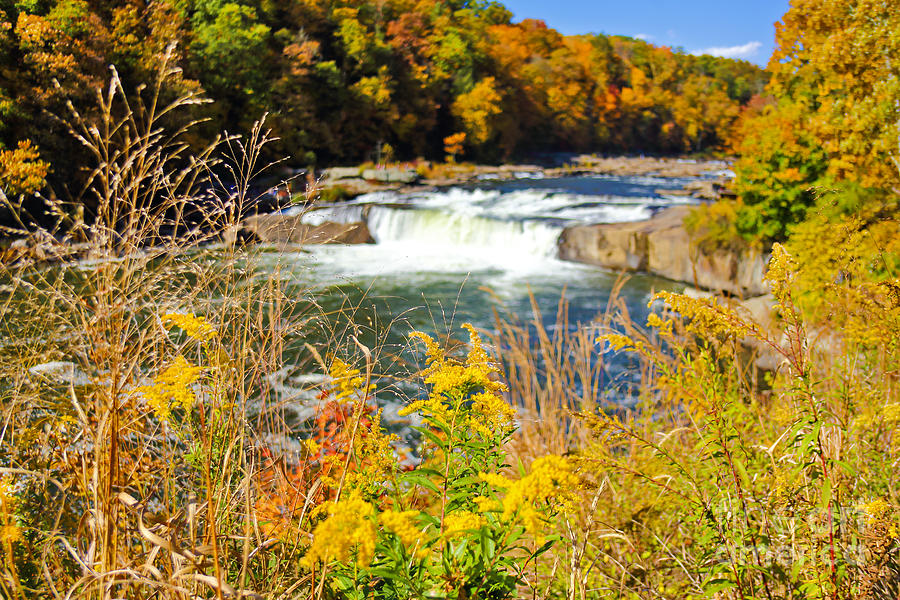 Sunny Fall Day at Ohiopyle Falls Photograph by SCB Captures