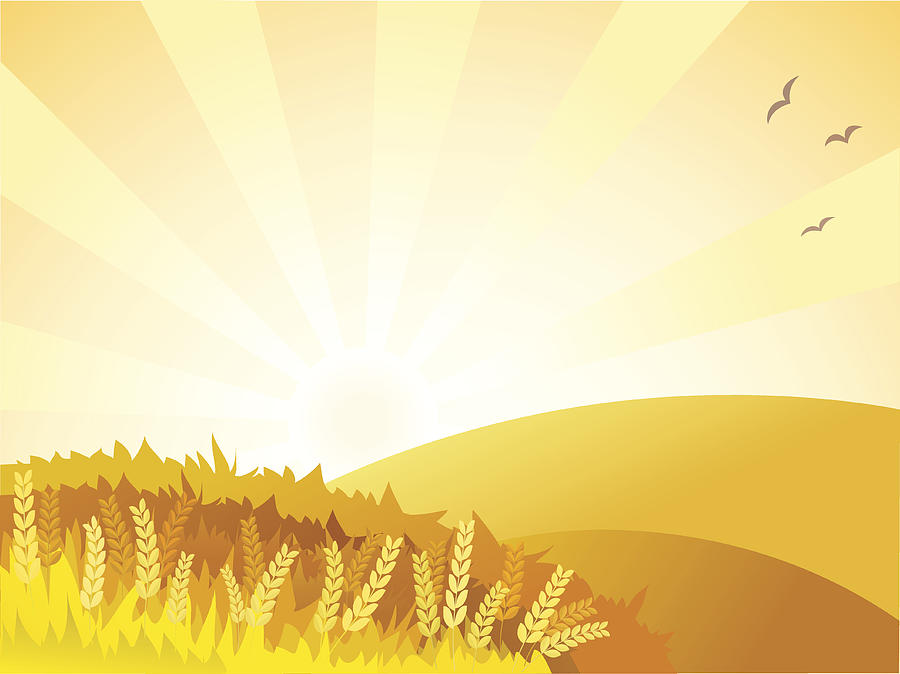 Sunny golden landscape Drawing by Divlesika