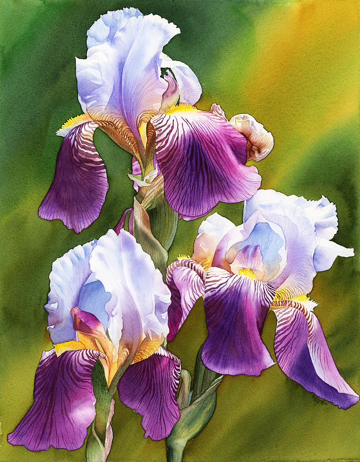 Sunny Irises Painting by Espero Art