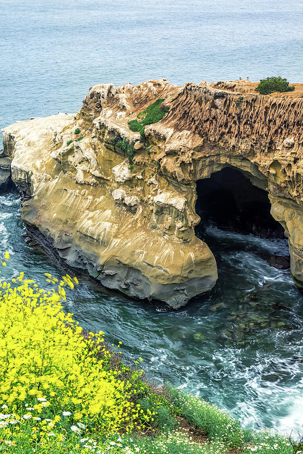 Sunny Jim Sea Cave With A Blush Of Yellow Photograph by Joseph S Giacalone