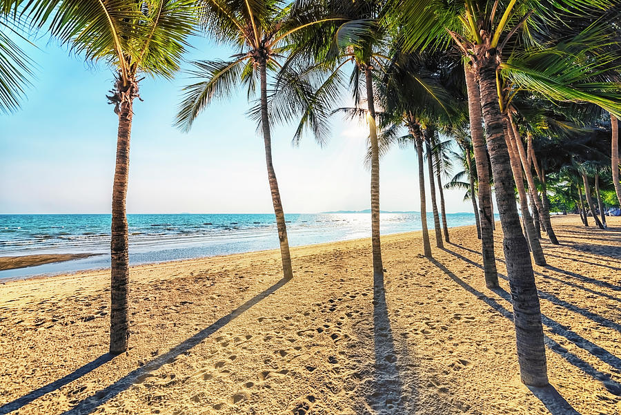 Sunny Jomtien Photograph