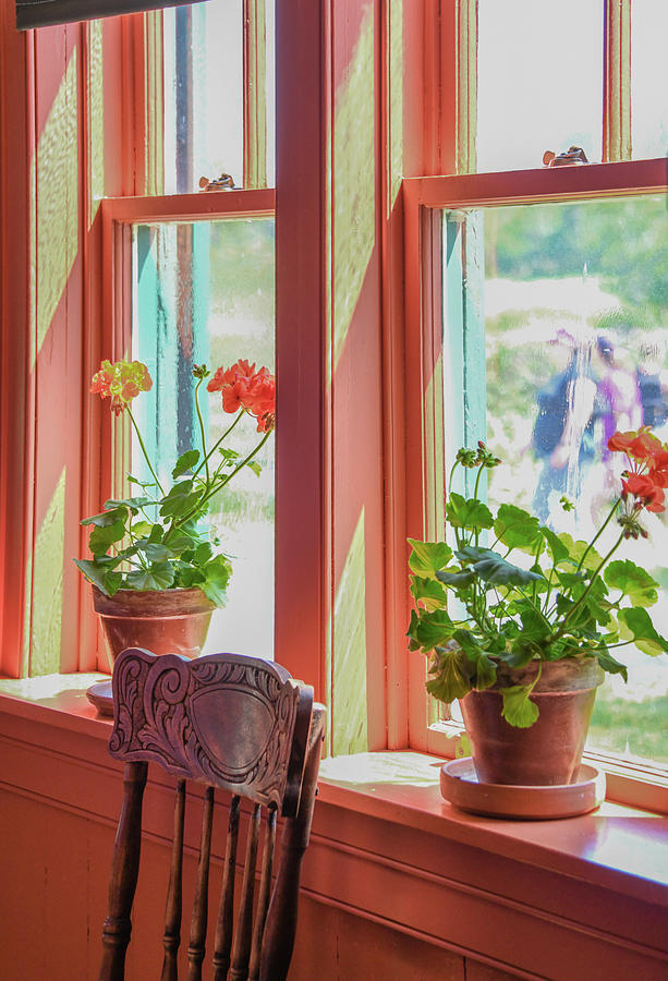 Sunny Kitchen Window  Photograph by Marcy Wielfaert