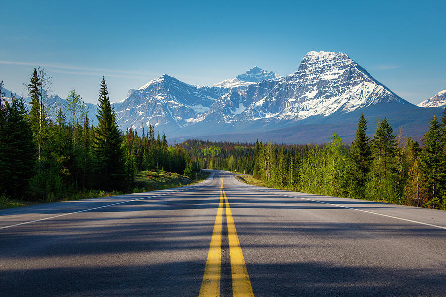 Sunny Morning on the Icefield Parkway Photograph by Rick Deacon