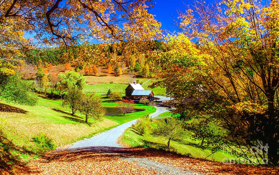 Sunny New England autumn landscape Photograph by Michael McCormack