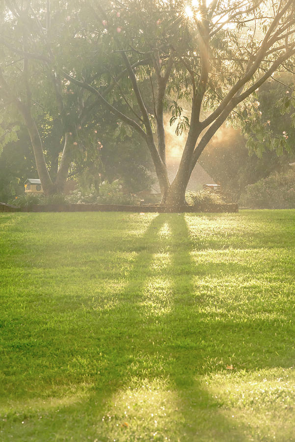 Sunny Rays Breaking Thru After Rain In The Neighborhood by Alex Grichenko