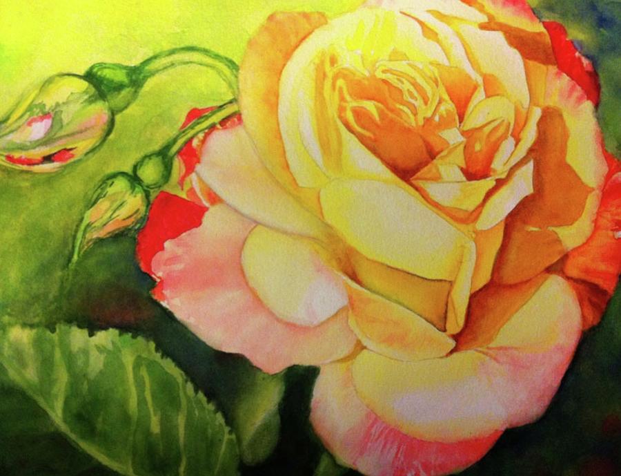 Sunny rose Painting by Debbie Hornibrook