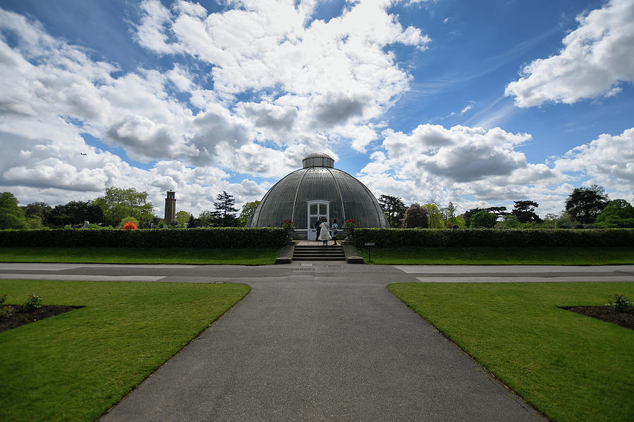 Sunny skies at Kew Gardens Photograph by Andrew Lalchan