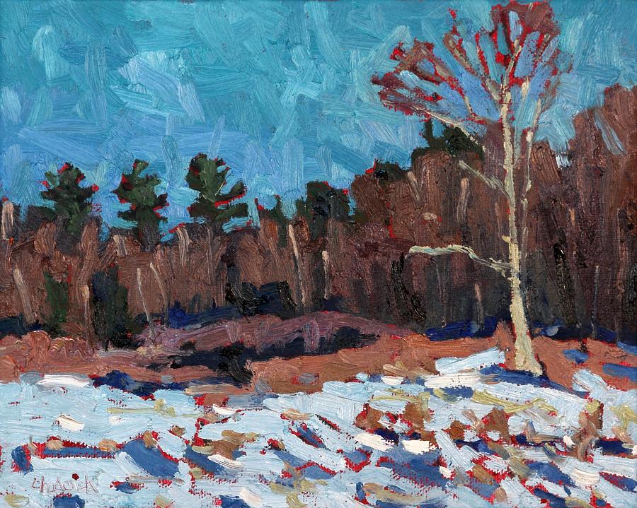 Winter Painting - Sunny Snowy Long Reach Afternoon by Phil Chadwick