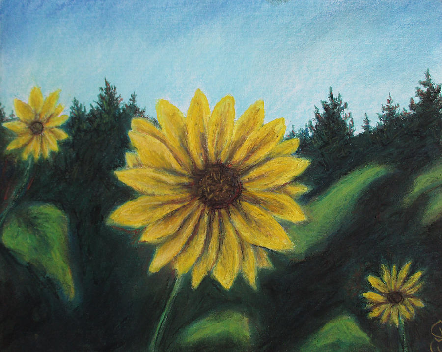 Sunny Sun Sun Flower Painting by Jen Shearer
