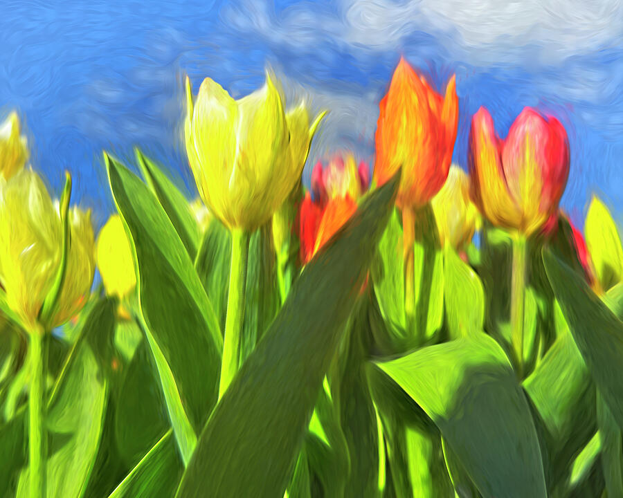 Sunny Tulips Spring Garden painterly Photograph by Ann Powell