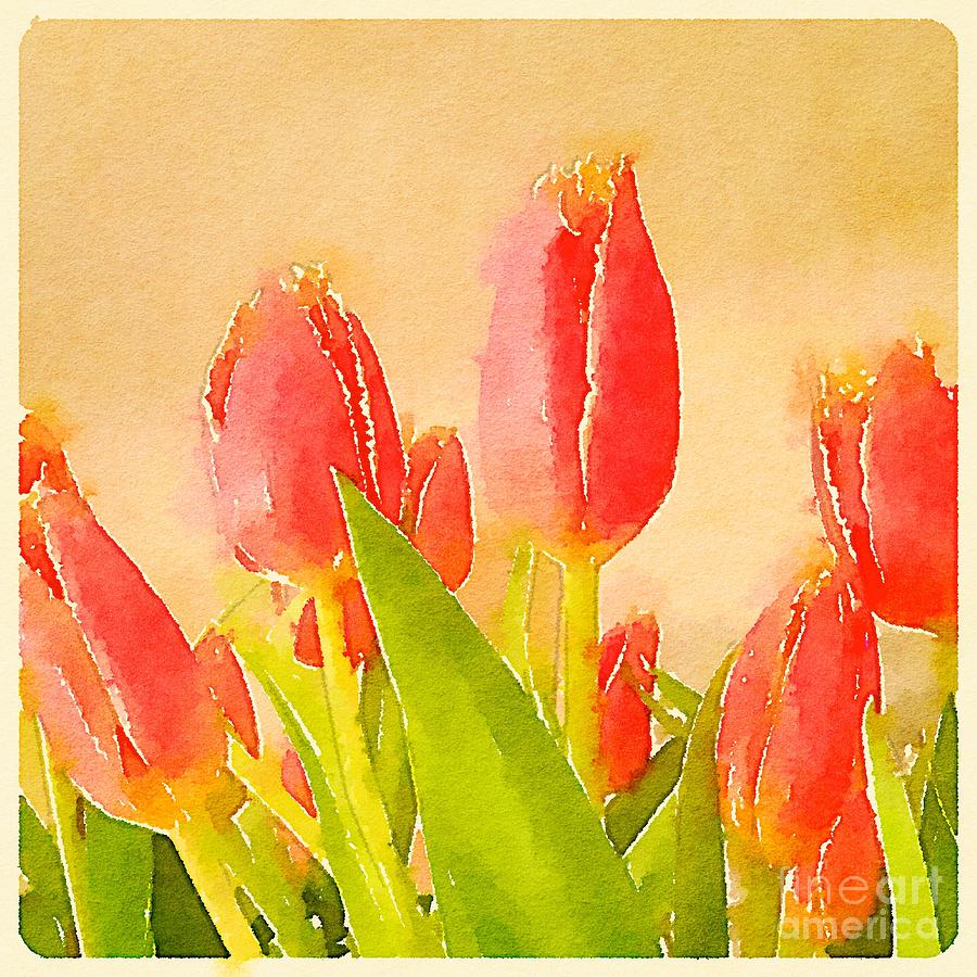 Sunny Tulips Digital Art by Wendy Golden