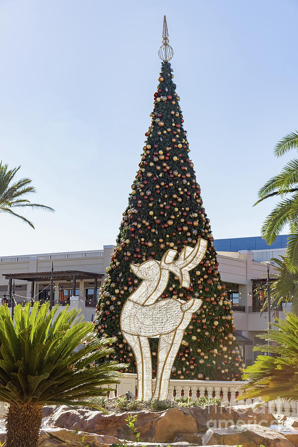 Christmas Photograph - Sunny view of the Christmas Tree in Town Square shopping mall by Chon Kit Leong