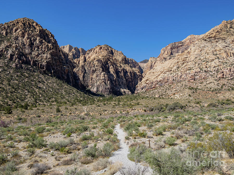 Las Vegas Photograph - Sunny view of the landscape of Red Rock Canyon by Chon Kit Leong