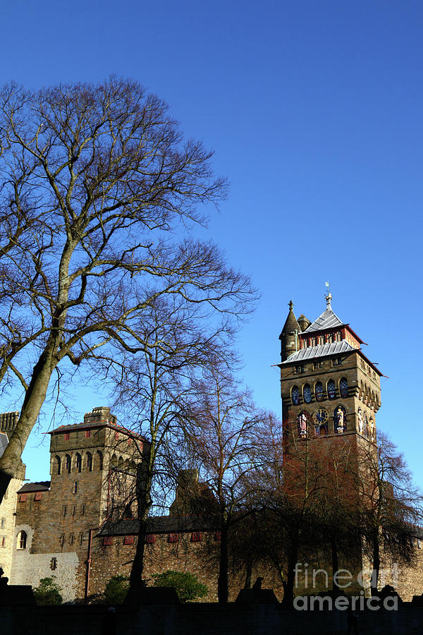 Sunny Winter Day Cardiff Castle Photograph by James Brunker