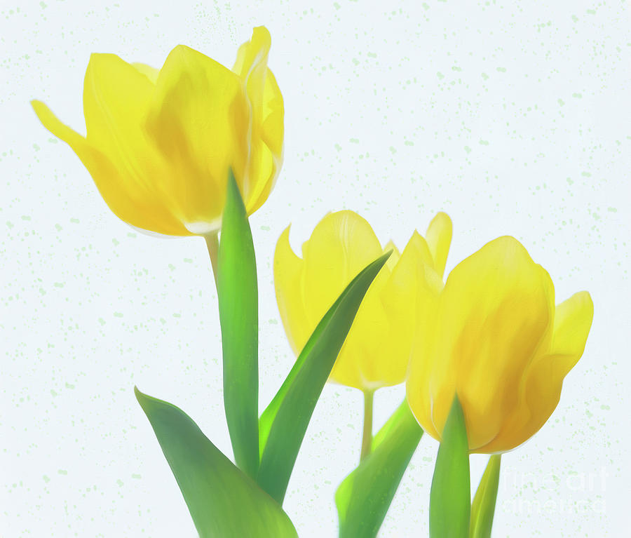 Sunny Yellow Tulips Photograph by Ava Reaves