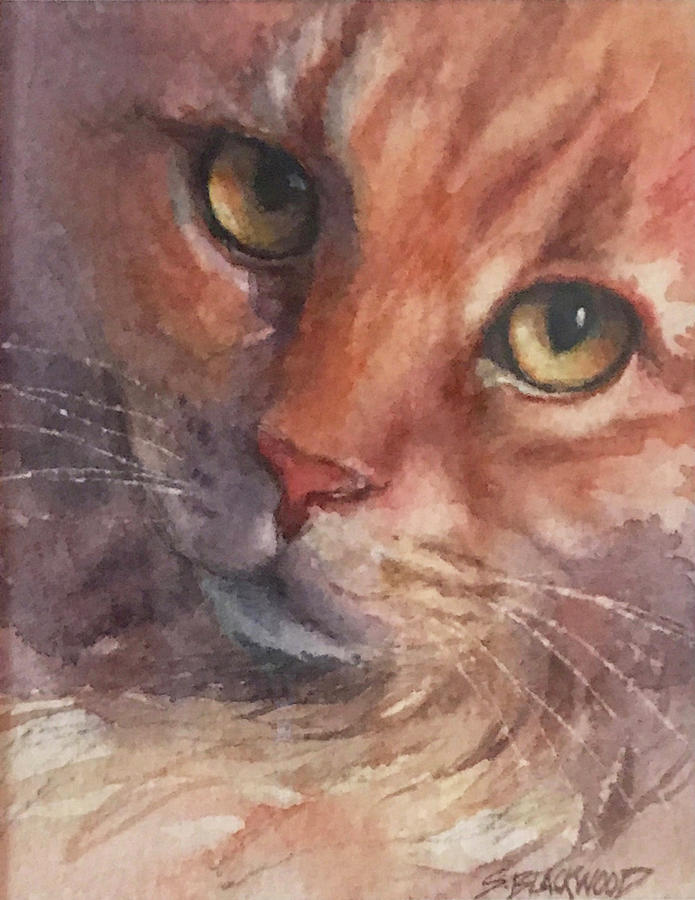 Sunnys Cat Painting by Susan Blackwood