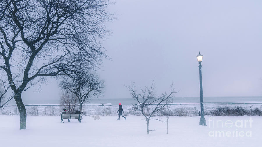 Sunnyside Boardwalk in Snow Photograph by Charline Xia