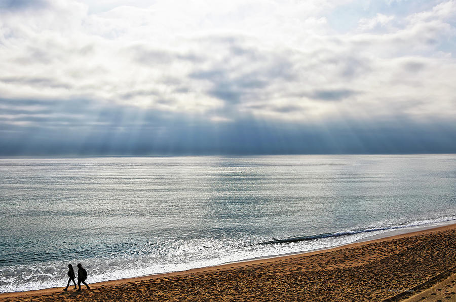 Sunrays on Water Summer Day at the Beach Photograph by Andreea Eva Herczegh