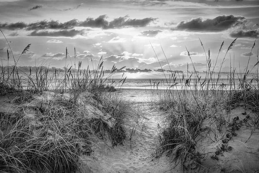 Sunrays over the Ocean at Dawn Black and White Photograph by Debra and Dave Vanderlaan