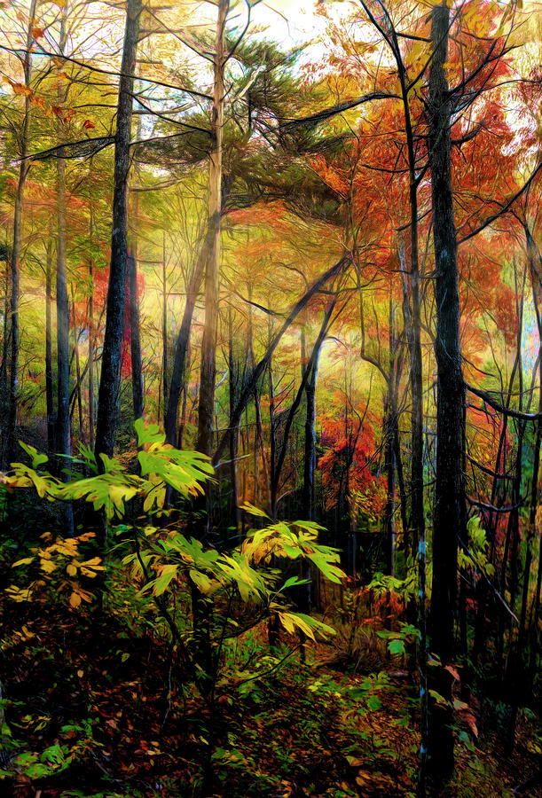 Sunrays through the Forest Abstract Painting Photograph by Debra and Dave Vanderlaan
