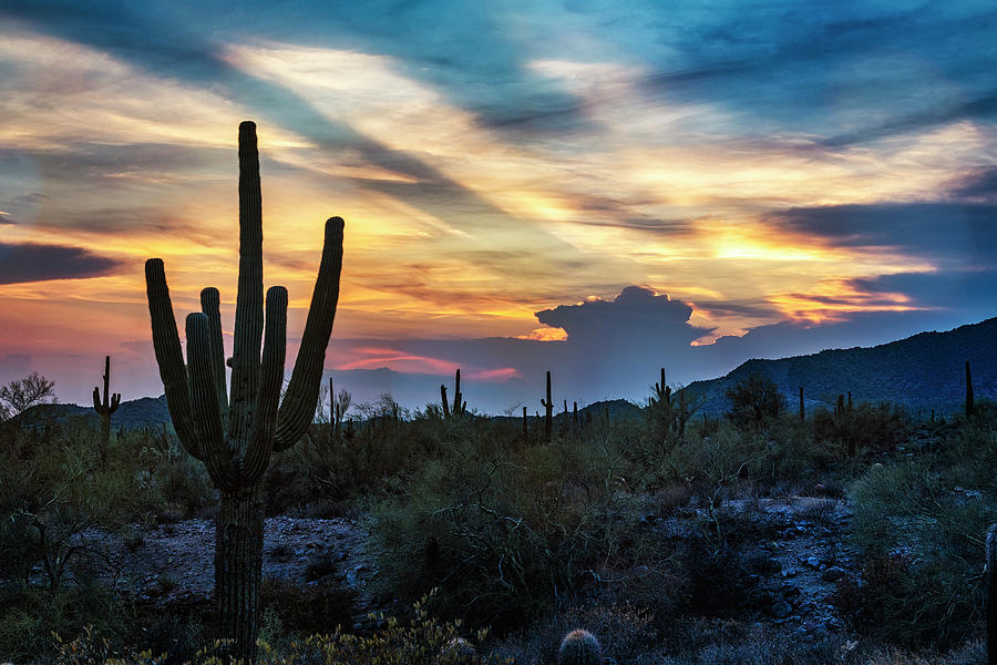 Sunrays To The Sonoran Sky Photograph by Saija Lehtonen - Fine Art America
