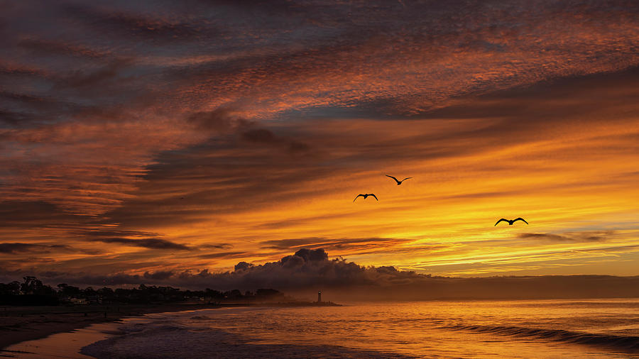 Sunset Photograph - Sunrise 12/14 by Bruce Frye
