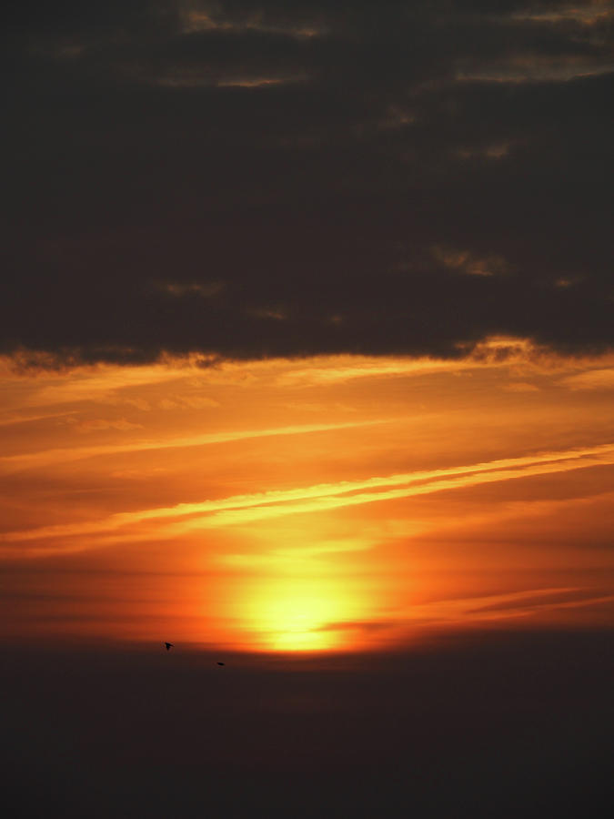 Sunrise #5 Photograph by Dragan Kudjerski