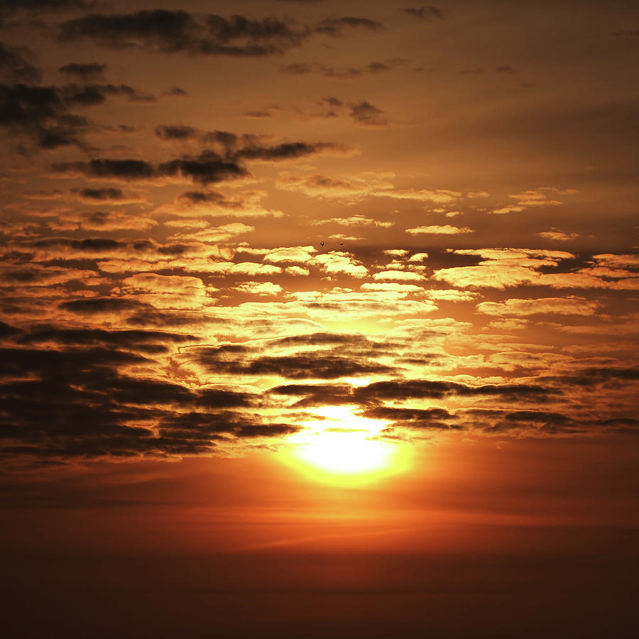 Sunrise #9 Photograph by Dragan Kudjerski
