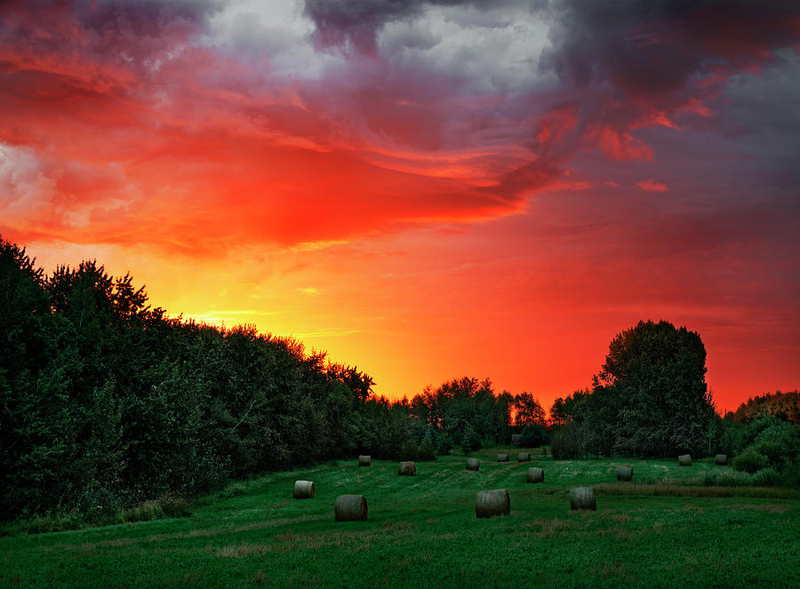Sunrise and Bales Photograph by Dan Jurak