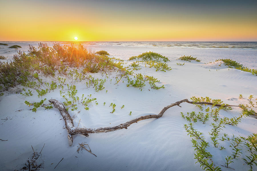 Sunrise And Driftwood At The Gulf Islands National Seashore Photograph by Jordan Hill