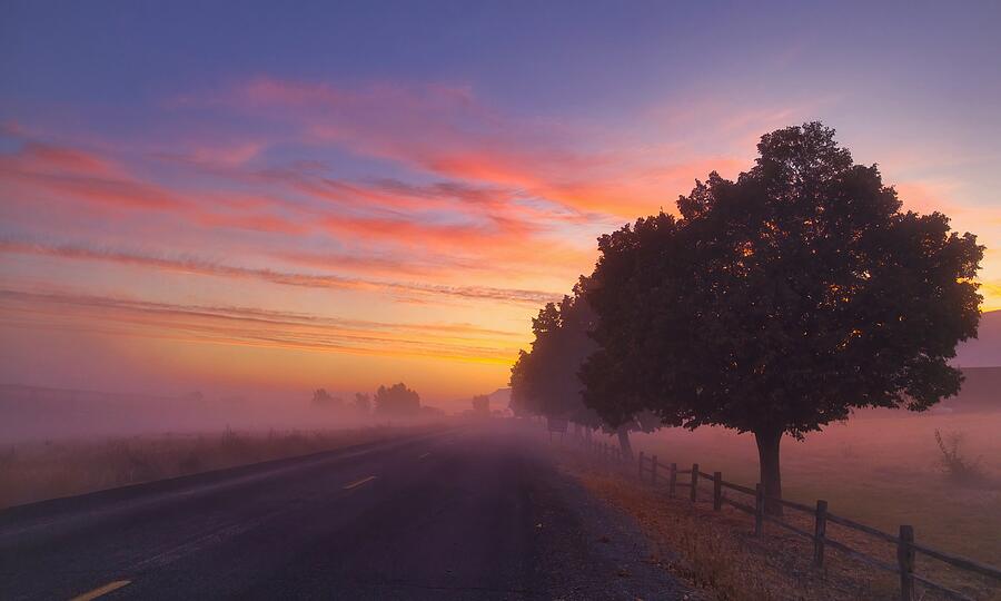 Fall Photograph - Sunrise and Fog  by Lynn Hopwood