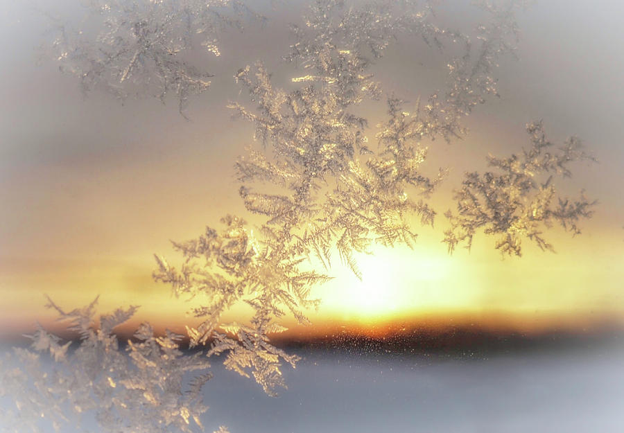 Sunrise and Frost Photograph by Susan Hope Finley